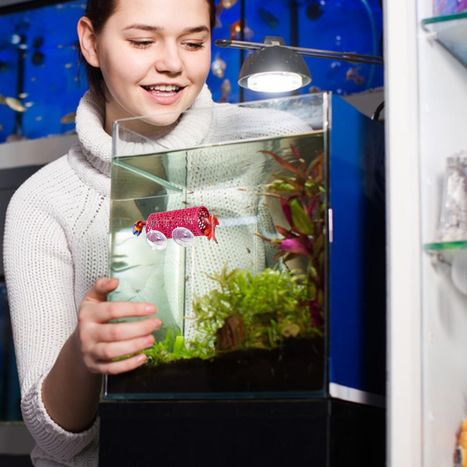 Aquarium Fish Betta - ที่พักพิงตกแต่งตู้ปลา ของเล่นอุโมงค์ปลา สำหรับตู้ปลา แบบติดตั้งด้วยจุ๊บสุญญากาศ ท่อขนาดเล็ก ปลอดภัย