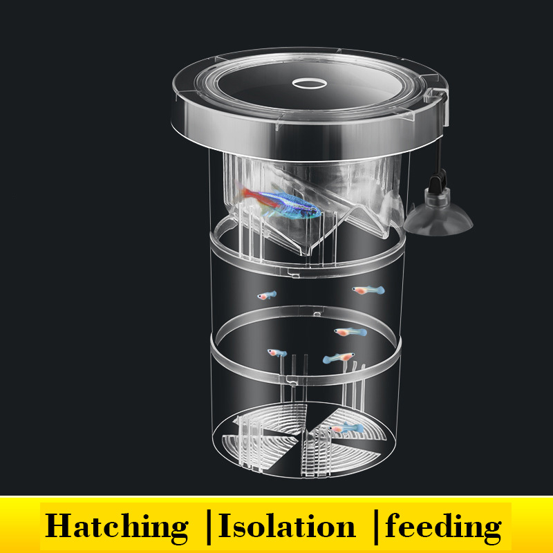 Aquarium Fish Betta - ลอย Fish Breeding กล่องแยกสําหรับ Aquarium ถังเด็ก