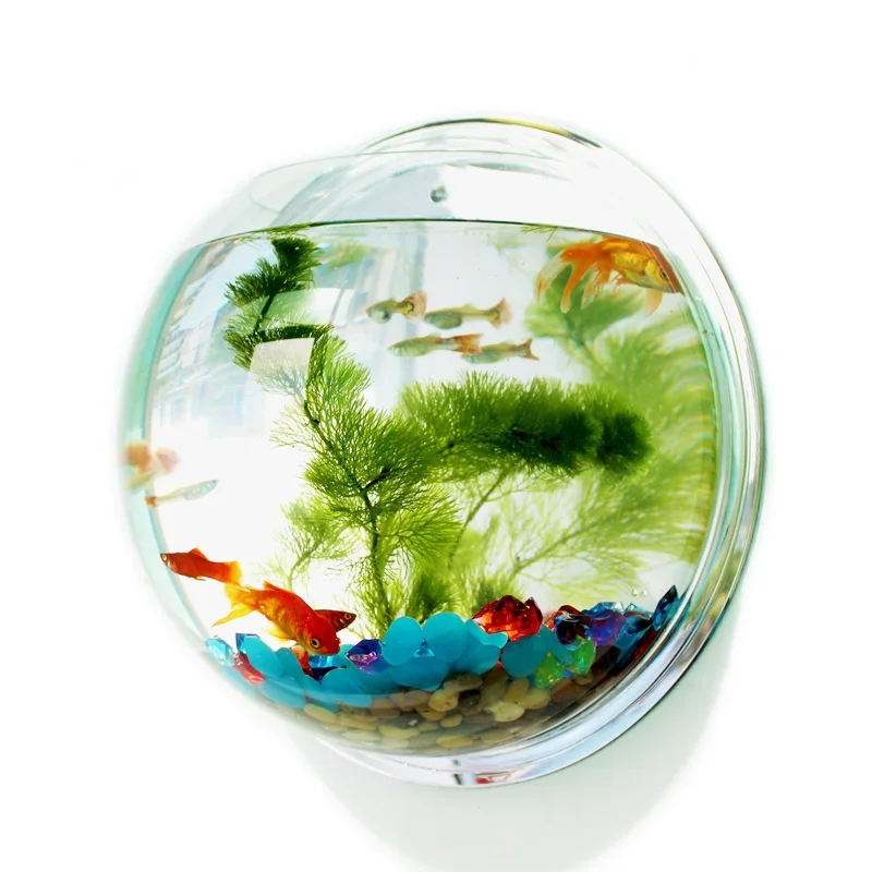 Aquarium Fish Betta - Pinsjar อะคริลิคชามปลาแขวนผนัง Aquarium ถังน้ําสัตว์เลี้ยงอุปกรณ์ผลิตภัณฑ์สําหรับสัตว์เลี้ยง Wall Mount