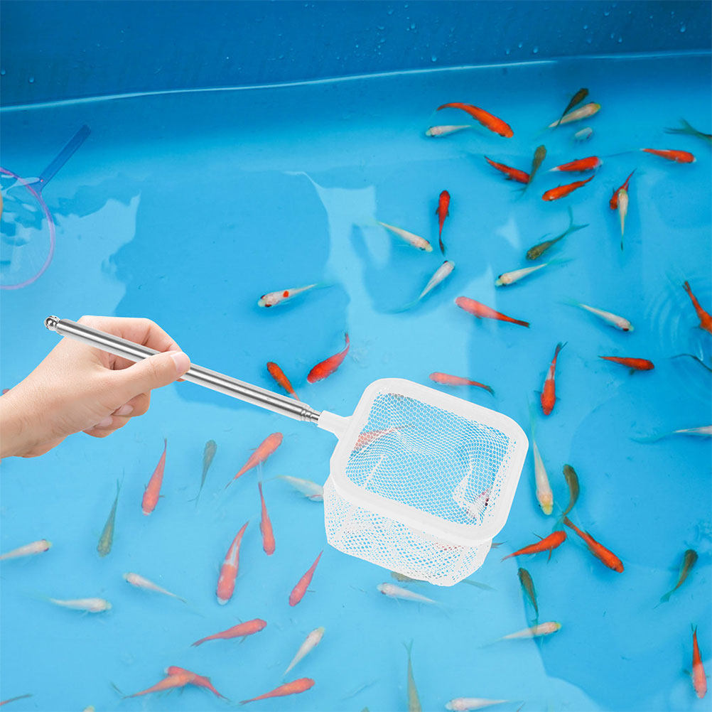 Aquarium Fish Betta - ตาข่ายตู้ปลาสแตนเลสแบบยืดหดได้ 2 ชิ้น พร้อมด้ามจับถอดได้ ตาข่ายขนาดเล็ก ปลอดภัยสำหรับการดูแลปลาเบต้าและกุ้ง