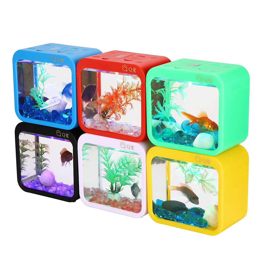 กล่อง Betta สร้างสรรค์สีสันสดใ - Aquarium Fish Betta บทวิจารณ์และราคา