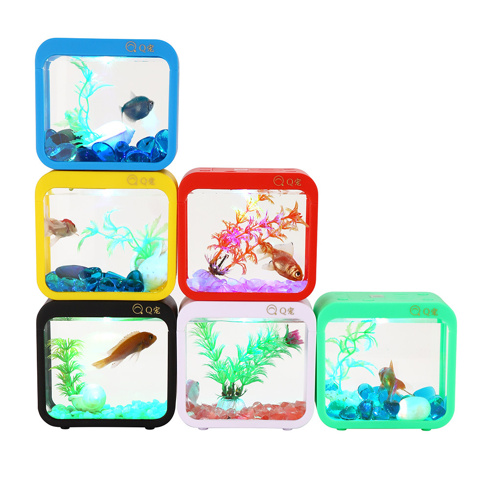 กล่อง Betta สร้างสรรค์สีสันสดใ - Aquarium Fish Betta บทวิจารณ์และราคา
