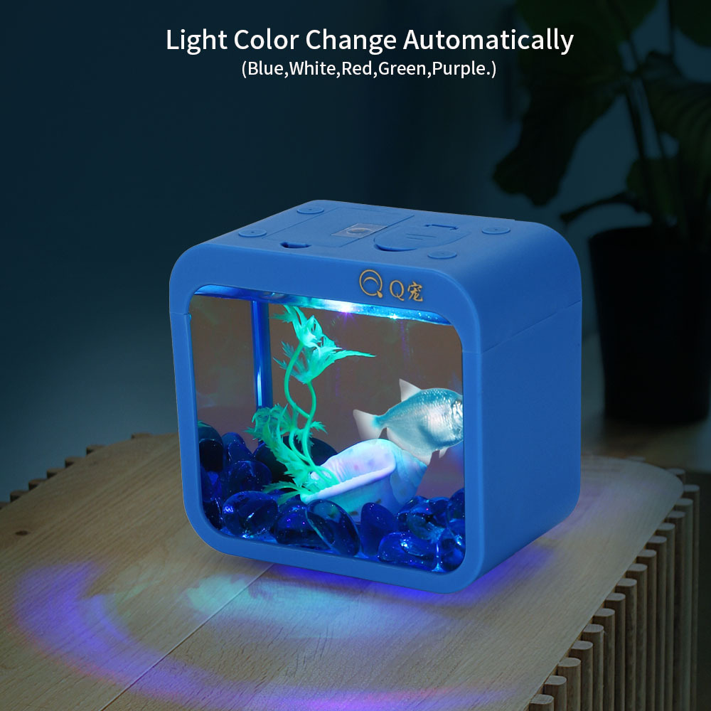 กล่อง Betta สร้างสรรค์สีสันสดใ - Aquarium Fish Betta บทวิจารณ์และราคา