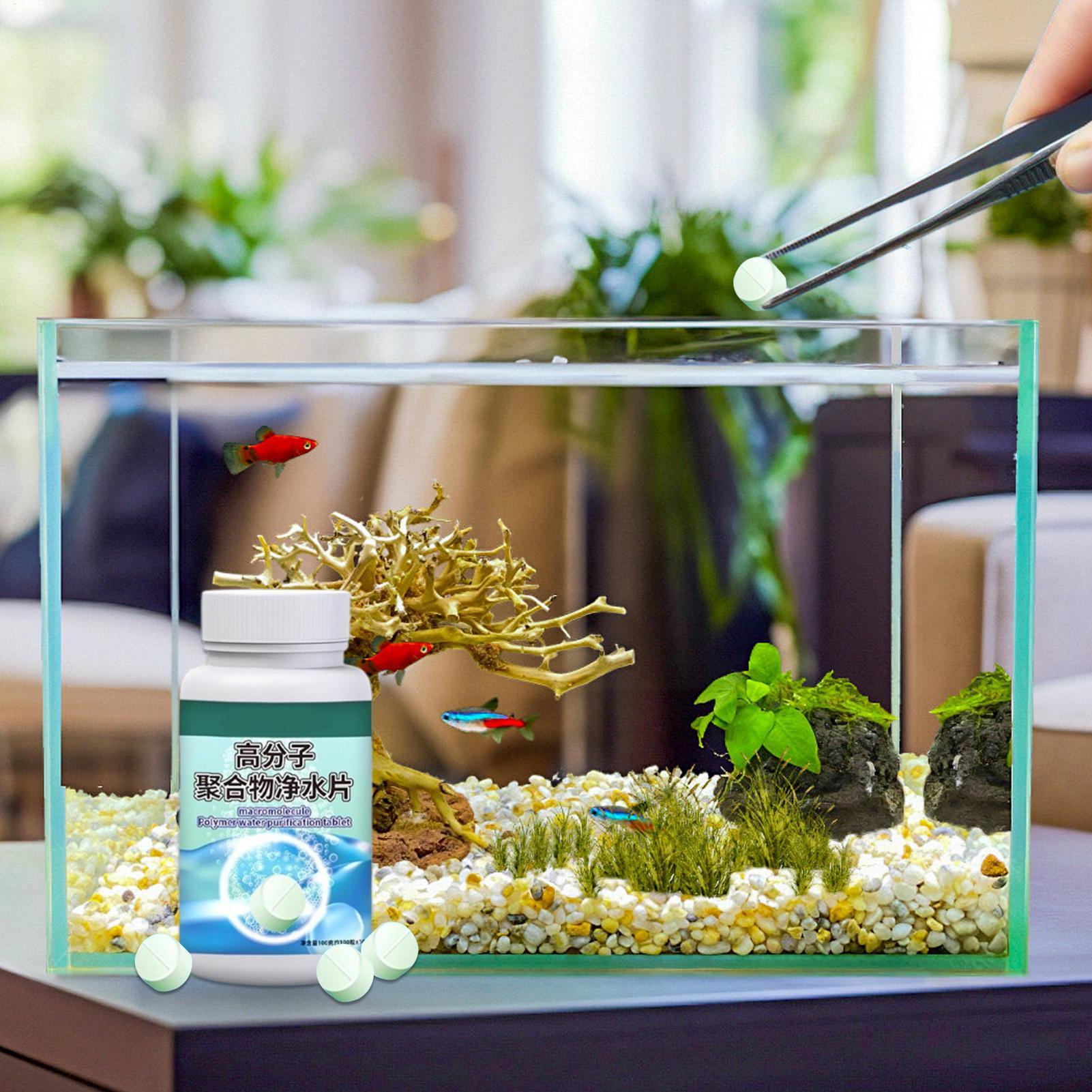 ยาเม็ดกำจัดตะไคร่น้ำในตู้ปลา ย - Aquarium Fish Care บทวิจารณ์และราคา