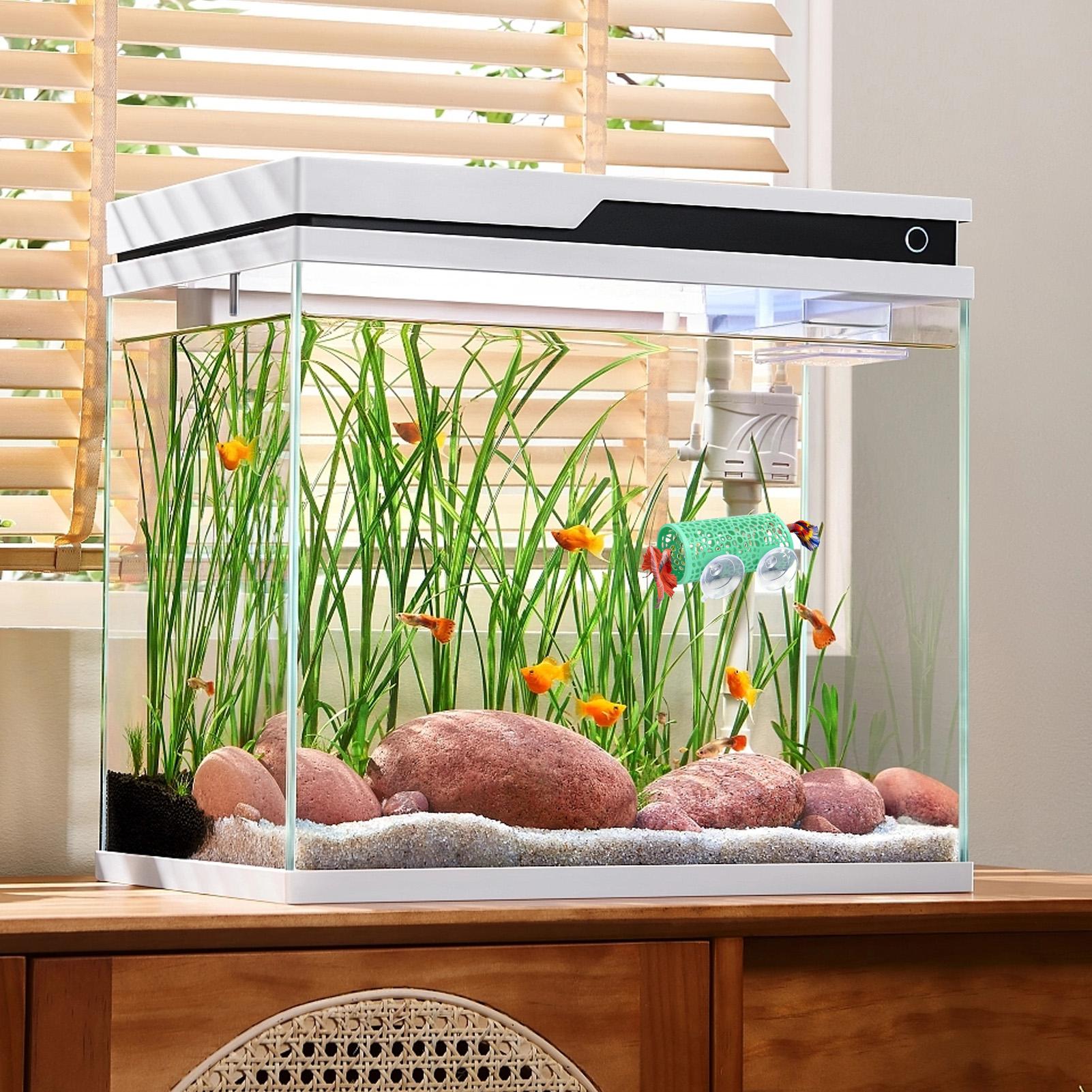 ที่พักพิงตกแต่งตู้ปลา ของเล่นอ - Aquarium Fish Betta บทวิจารณ์และราคา