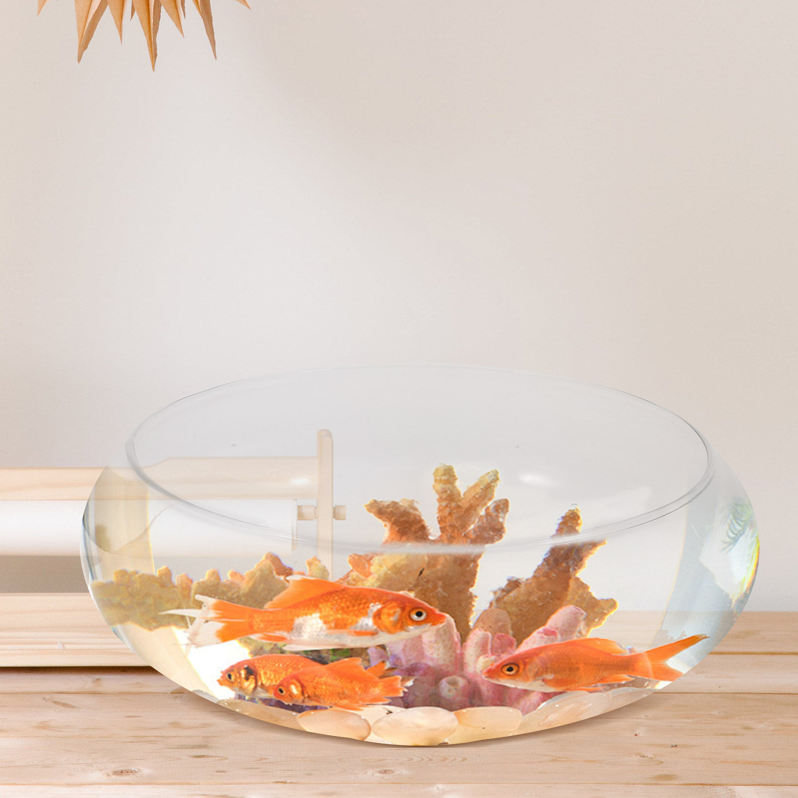 ตู้ปลาแก้วพรีเมียมขนาดเล็กสำหร - Aquarium Fish Goldfish บทวิจารณ์และราคา