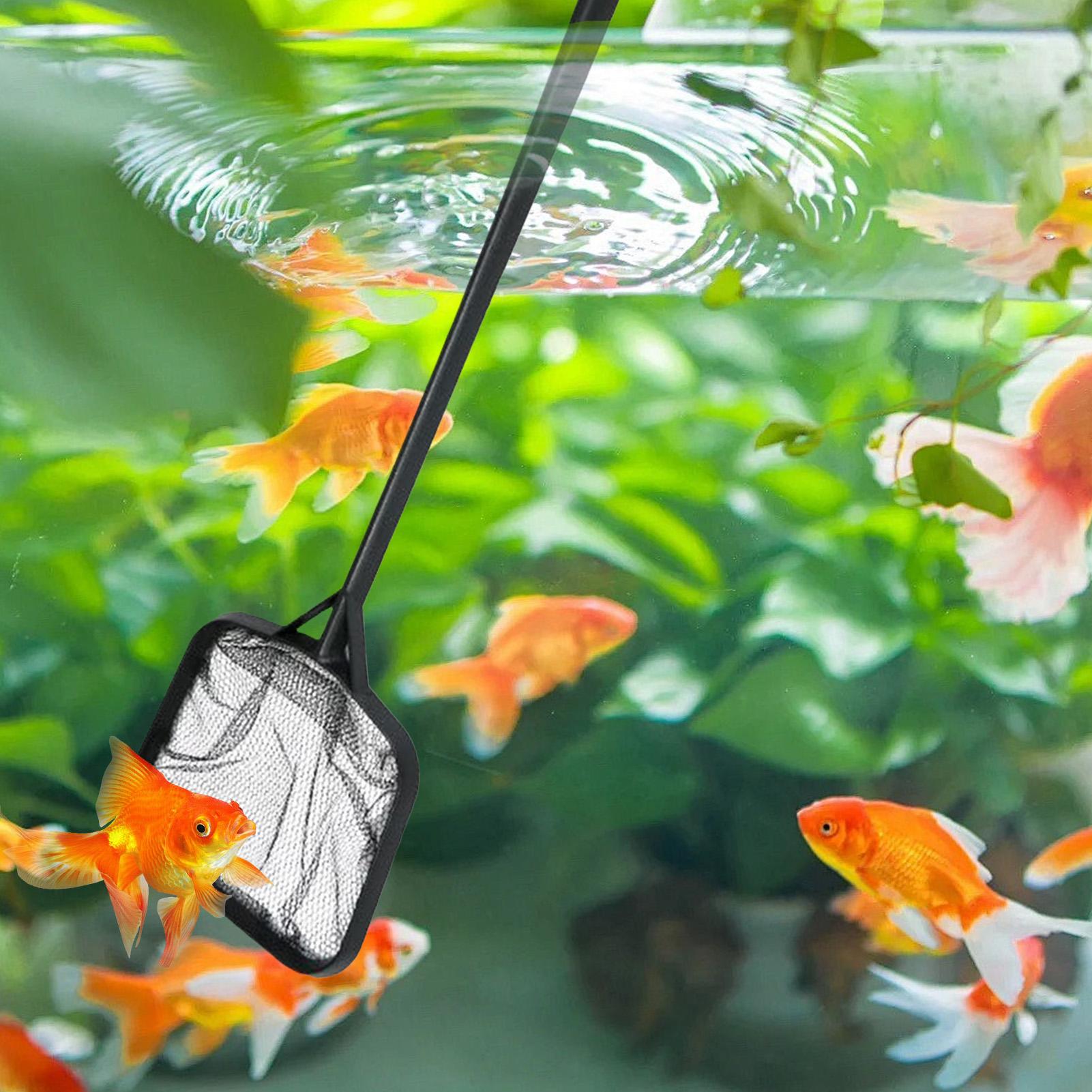 ตาข่ายทำความสะอาดสระว่ายน้ำแบบ - Aquarium Fish Care บทวิจารณ์และราคา