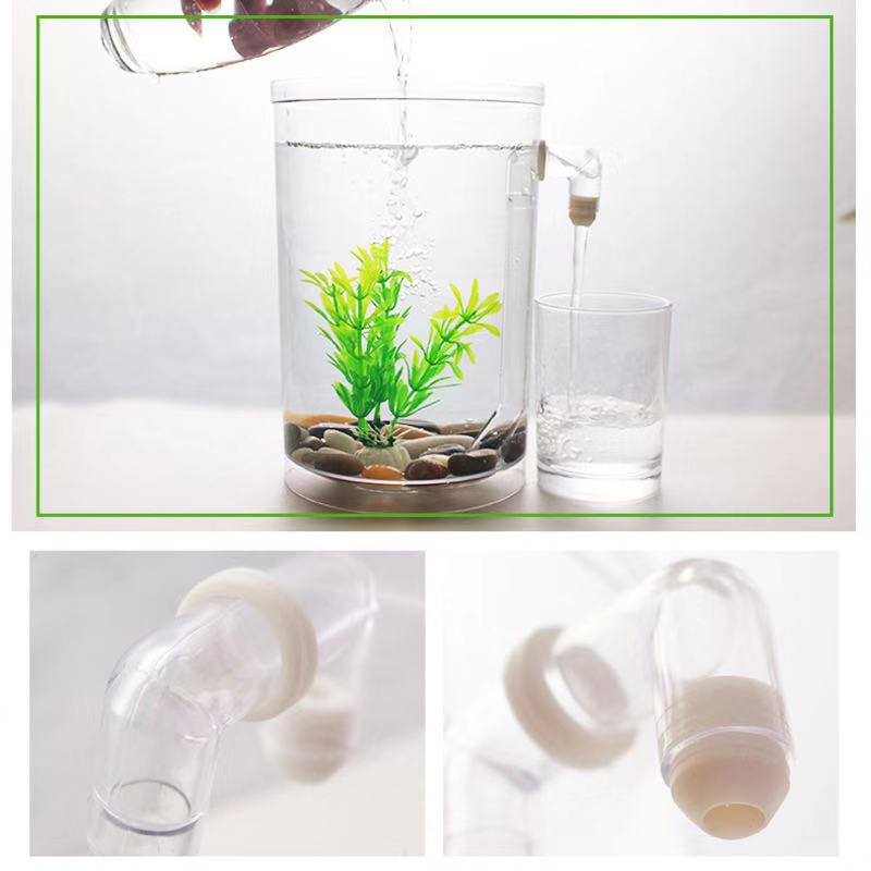 ขี้เกียจฟรีเปลี่ยน Desktop Fis - Aquarium Fish Goldfish บทวิจารณ์และราคา