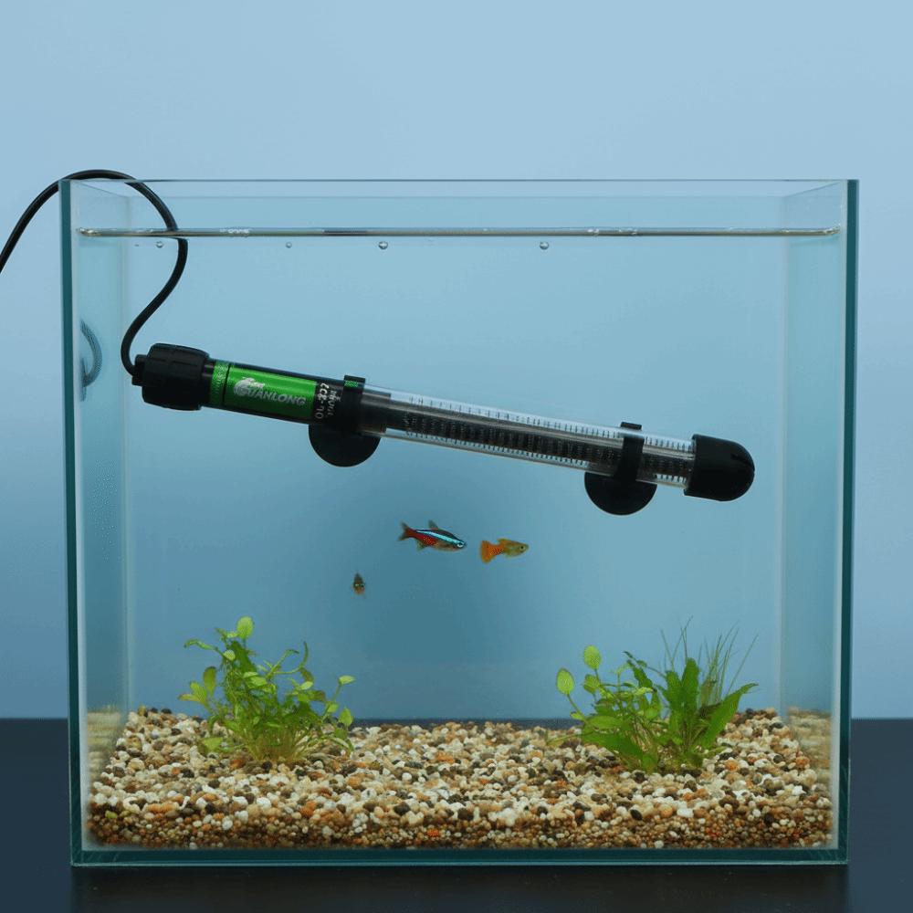 ฮีตเตอร์แบบจุ่มใต้น้ำสำหรับตู้ - Aquarium Heater Submersible บทวิจารณ์และราคา