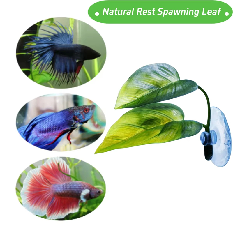 อุปกรณ์ตกแต่งตู้ปลา พืชน้ำเทีย - Aquarium Fish Betta บทวิจารณ์และราคา