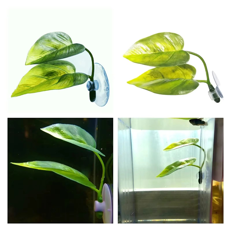 อุปกรณ์ตกแต่งตู้ปลา พืชน้ำเทีย - Aquarium Fish Betta บทวิจารณ์และราคา