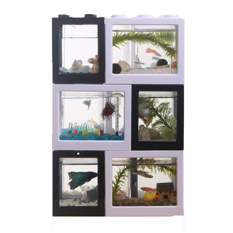 ตู้ปลาขนาดเล็ก 7 สี สำหรับปลาเ - Aquarium Fish Betta บทวิจารณ์และราคา