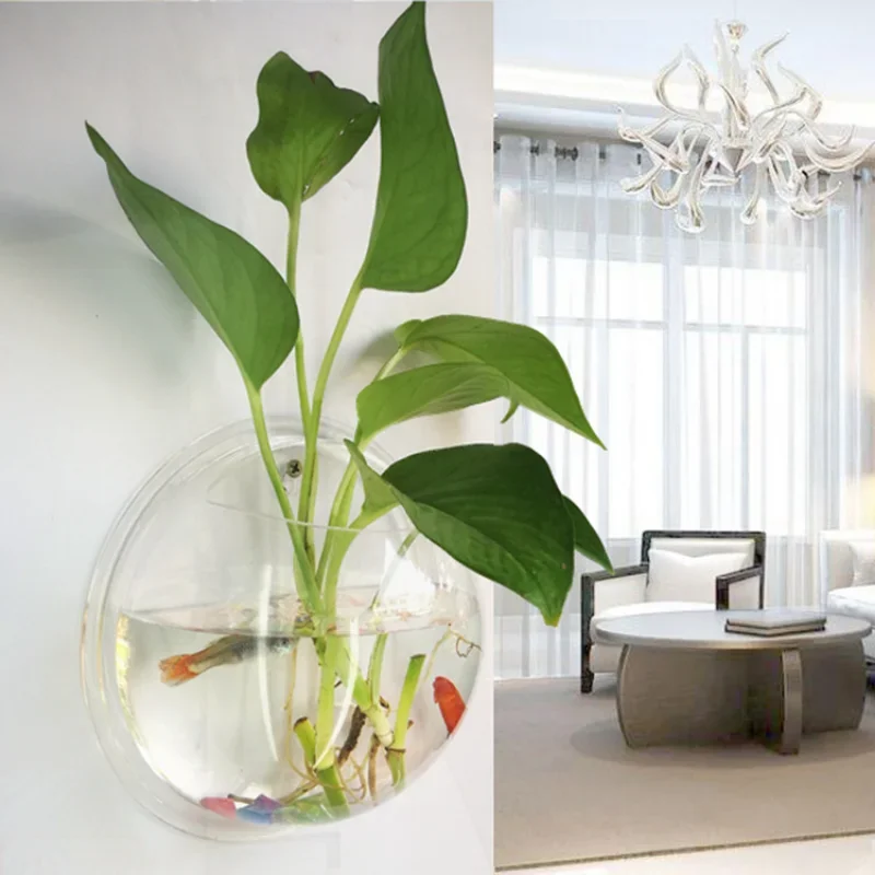 Pinsjar อะคริลิคชามปลาแขวนผนัง - Aquarium Fish Betta บทวิจารณ์และราคา