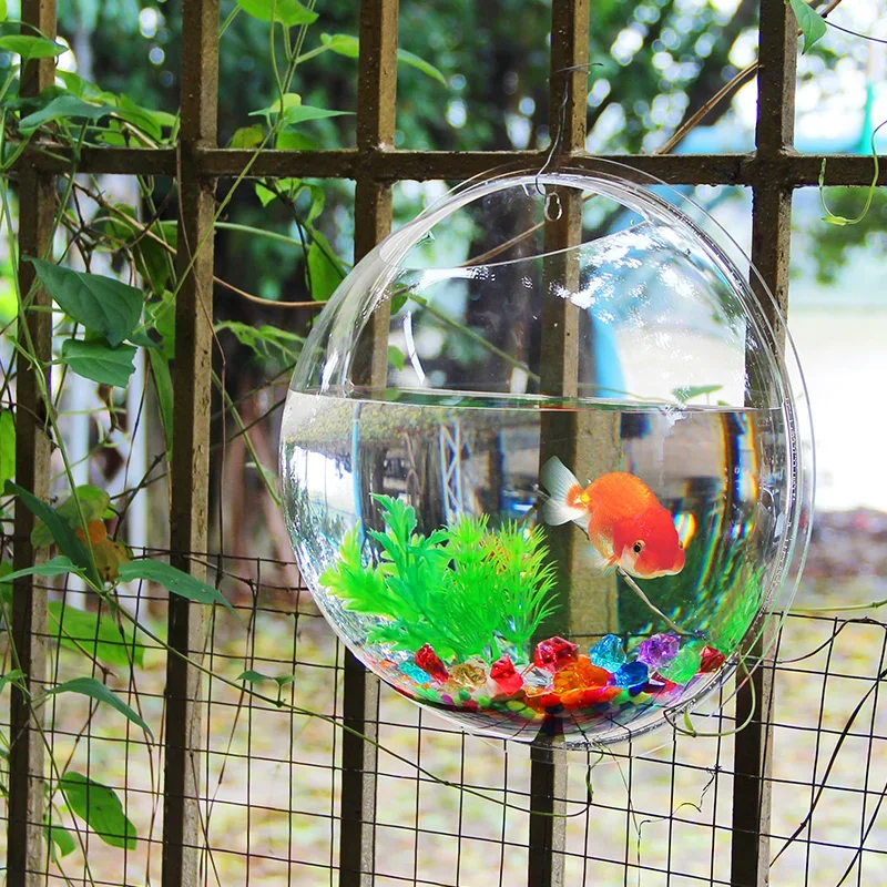 Pinsjar อะคริลิคชามปลาแขวนผนัง - Aquarium Fish Betta บทวิจารณ์และราคา