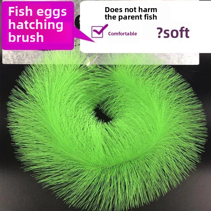 หญ้าเพาะพันธุ์สำหรับการฟักไข่ป - Aquarium Fish Goldfish บทวิจารณ์และราคา