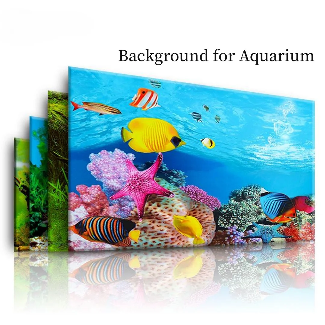พื้นหลัง Aquarium 3D สติกเกอร์ - Background Film 3D บทวิจารณ์และราคา