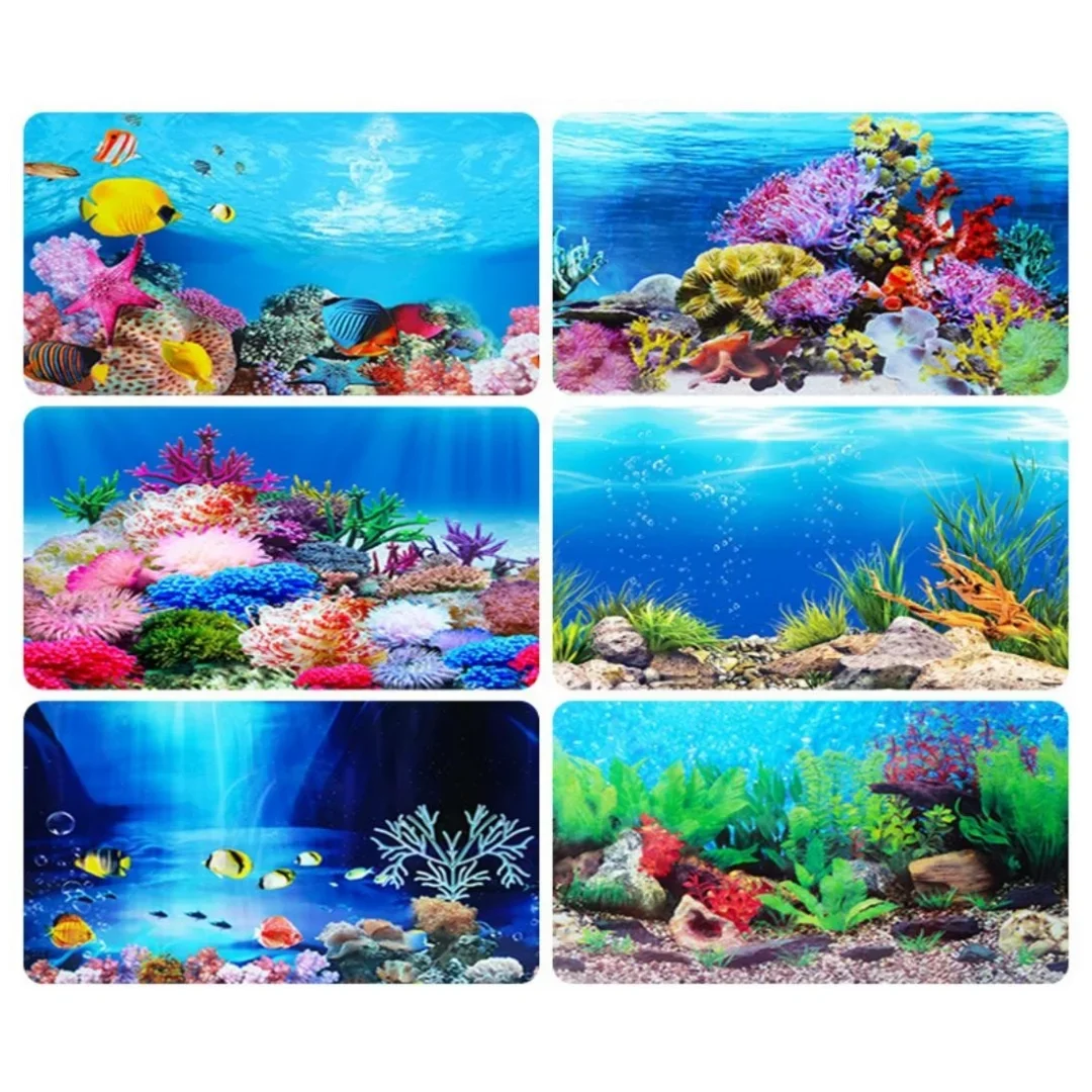 พื้นหลัง Aquarium 3D สติกเกอร์ - Background Film 3D บทวิจารณ์และราคา