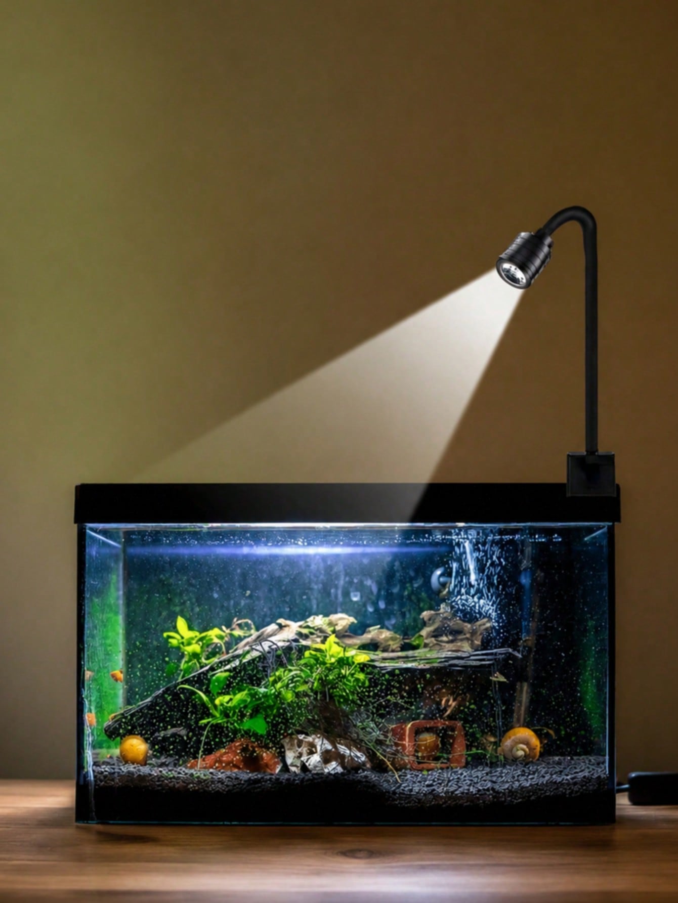 ไฟตู้ปลาแบบ USB, ไฟสปอตไลท์ซูม - Aquarium Fish Goldfish บทวิจารณ์และราคา