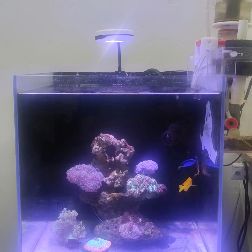 20W Spectra SP20 Ac110-240V น้ - Refugium Light Nano บทวิจารณ์และราคา