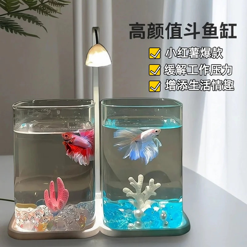 ตู้ปลาแก้วขนาดเล็กสำหรับปลามิน - Aquarium Fish Betta บทวิจารณ์และราคา