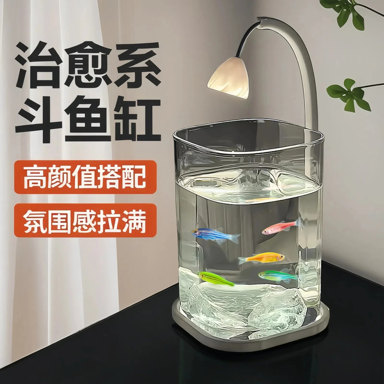 ตู้ปลาแก้วขนาดเล็กสำหรับปลามิน - Aquarium Fish Betta บทวิจารณ์และราคา